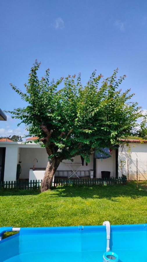 House With Pool And Garden In Esmoriz Near Porto Villa Eksteriør billede
